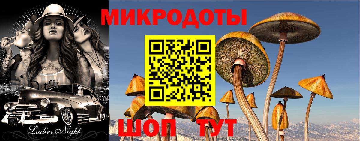 Псилоцибиновые грибы ЛСД Туапсе