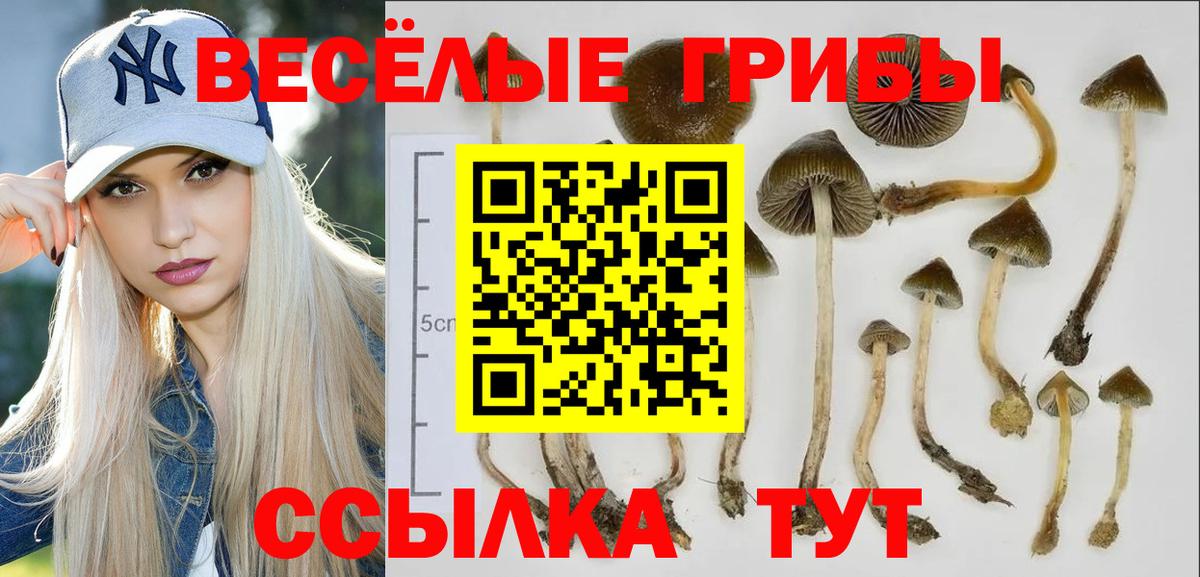 Псилоцибиновые грибы MAGIC MUSHROOMS  Вход с VPN  Псилоцибиновые грибы MAGIC MUSHROOMS  Туапсе 